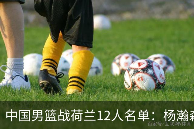 中国男篮战荷兰12人名单：杨瀚森回归国家队首秀 赵继伟领衔5人轮休